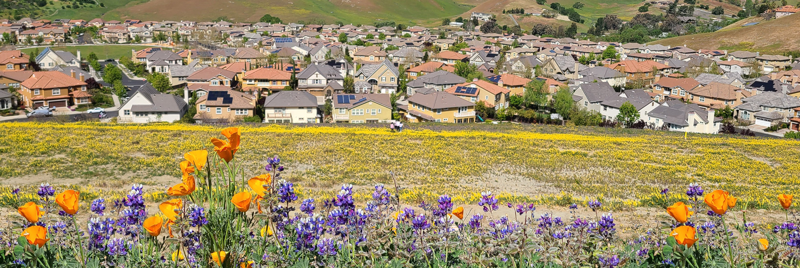 How is the Tri-Valley market changing for buyers and sellers?